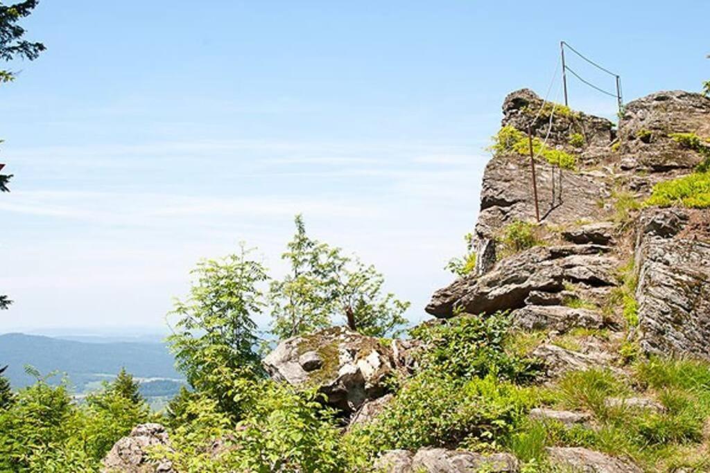 Bayerwald Chalet Kaitersberg Mit Sauna, Sonnenterrasse Und Garten Arnbruck Εξωτερικό φωτογραφία
