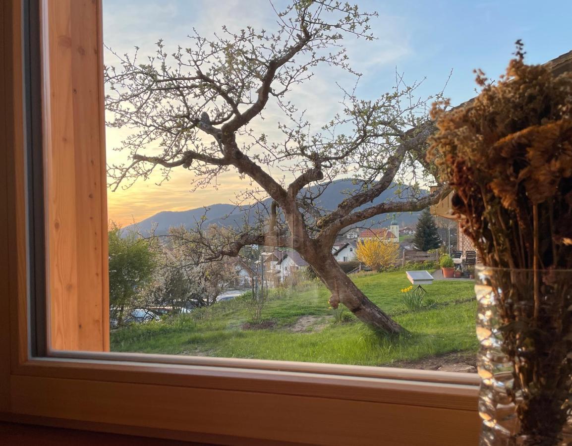 Bayerwald Chalet Kaitersberg Mit Sauna, Sonnenterrasse Und Garten Arnbruck Εξωτερικό φωτογραφία